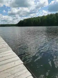 Веселый Роджер - 35