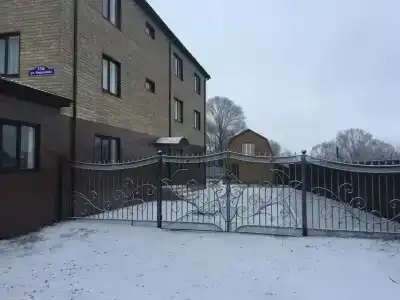 Светлана - 61