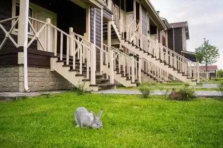 Вазуза Кантри Клаб - 7