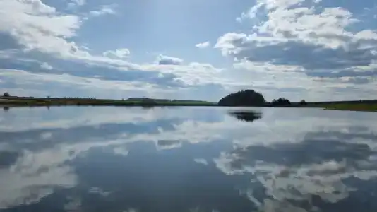 Золотая рыбка - 10