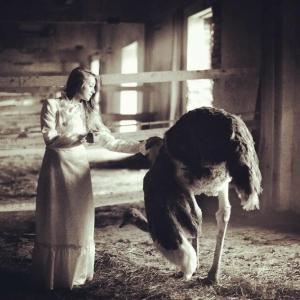 Мурманская страусиная ферма - 59