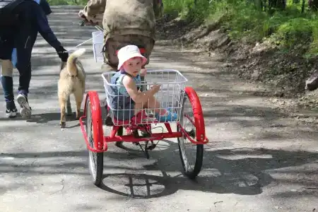 Заозёрье - 72