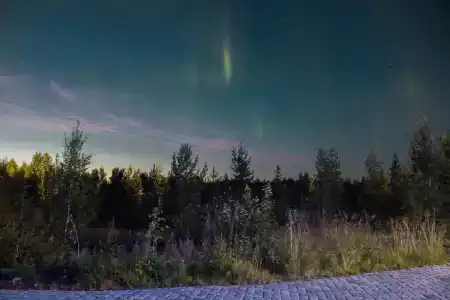 Зеленый берег - 10