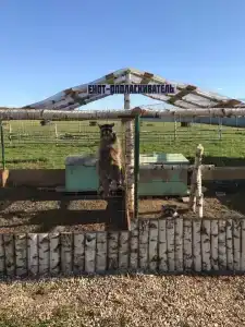 Александровский спас - 9