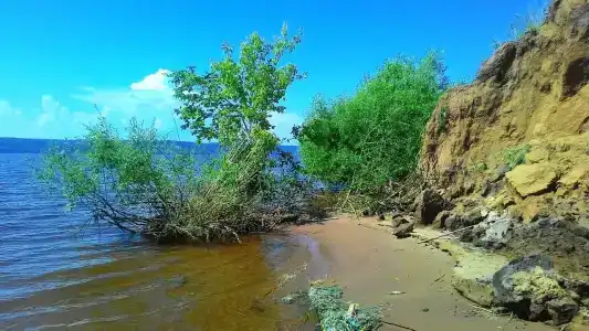 Болгар - 12