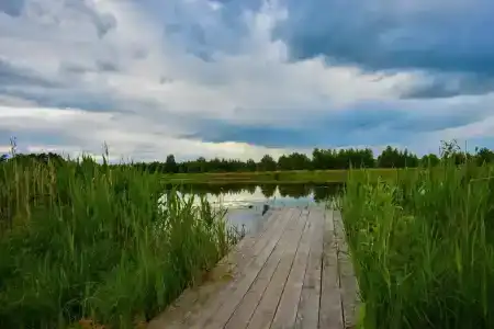 База отдыха Некрасовские Дачи - 7