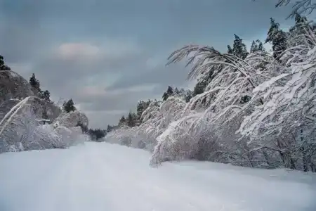 Мещерский городец - 10