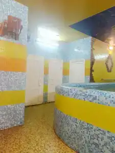 Дельфин - 4