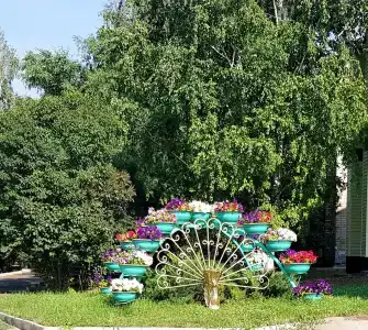 Рябинушка - 16