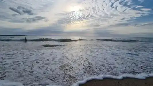 Дом друзей - 36