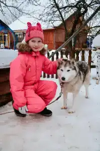 Эрцог - 15