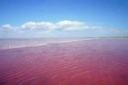 Винодельня Варнаутка - 8