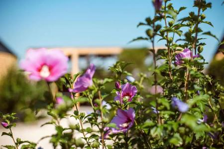 Усадьба Дивноморье - 58