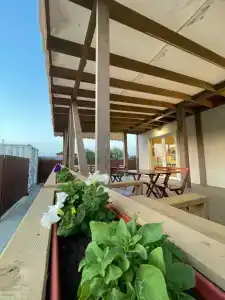 Белый Лотос - 41