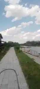 Затишье - 39