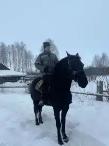 Забава - 4