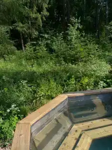 Окна в лес - 5