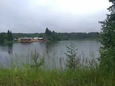 Лесная застава - 14