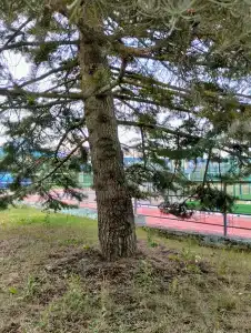 РУТБ "Ока" - 17