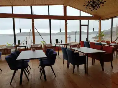 Cedar Grass Териберка - 1