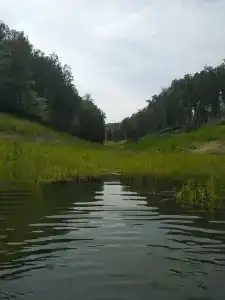 Чистый берег - 31