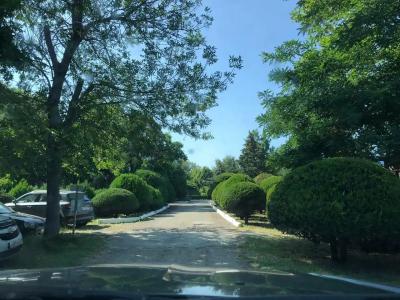 Джемете - 100