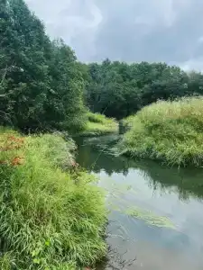 База отдыха Эко-лоджи Wish Home Yahroma - 77