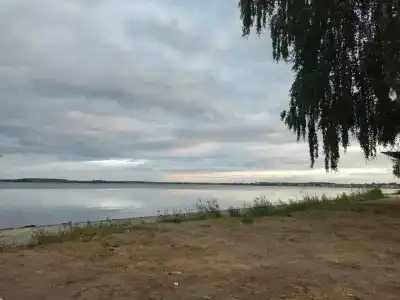 Березовая роща - 25