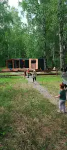 Ветер в соснах - 16
