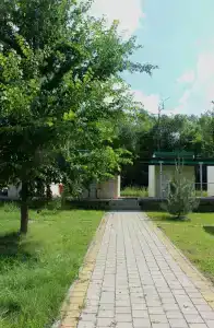 Голубая волна - 21