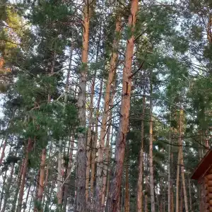 Россия - 34