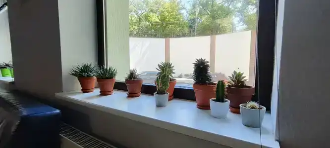 Черномор - 99