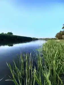 Давидашен - 9