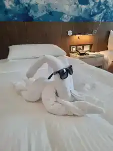 Royal M Fujairah Mall - 60