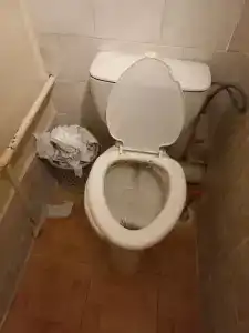 Тайга - 4