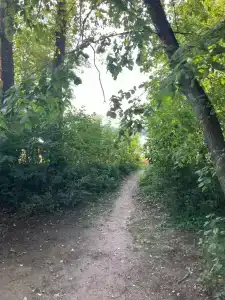 Ровесник - 6