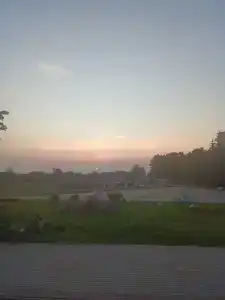 Пралеска - 20