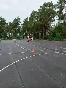 Пралеска - 19