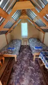 Кедровая опушка - 46