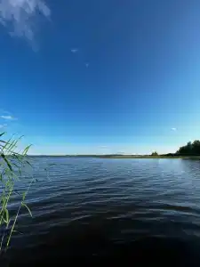 Колокольцево - 40