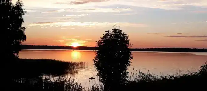 Коди Ярви - 53