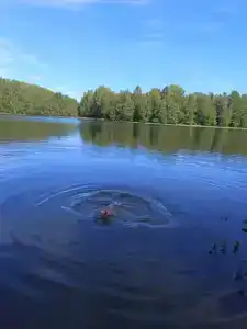 Медвежий Угол Селигер - 34