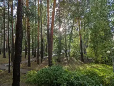 Аленушка - 86
