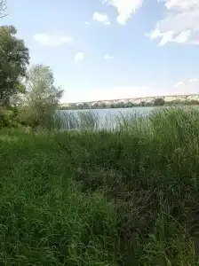 Вертячий - 38