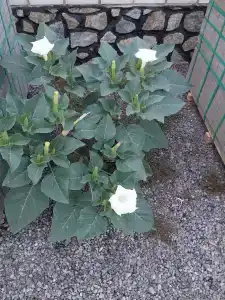 комфорт - 24