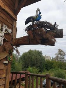 Владимирский край - 31