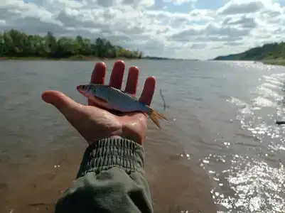 Райский уголок - 14