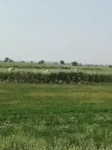 Парк Киммерия - 32