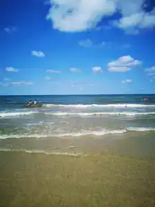 Снегири - 9