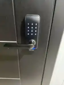 Троицкий - 33